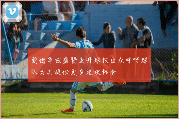 爱德华兹盛赞麦丹球技出众呼吁球队为其提供更多进攻机会